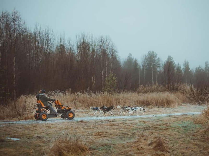 Rovaniemi: Autumn Husky Ride on Wheels - Price and value: is $169 per person worth it?