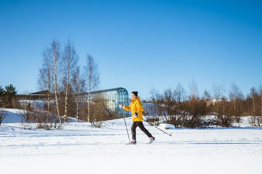 Rovaniemi: Cross Country Wilderness Ski Adventure - Key things to know before you go