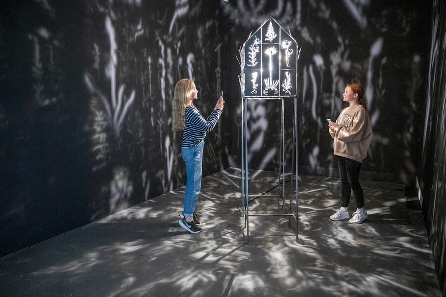 Rovaniemi: Culture Pass to Arktikum, Korundi, and Pilke - Price and value for three museums in Rovaniemi