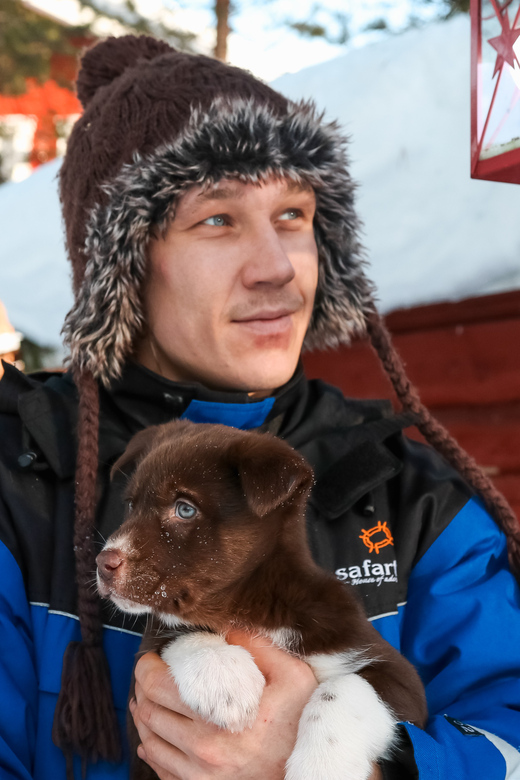 Rovaniemi: Daytime Husky Safari - Arriving at a Husky Camp Where You Actually Take Part