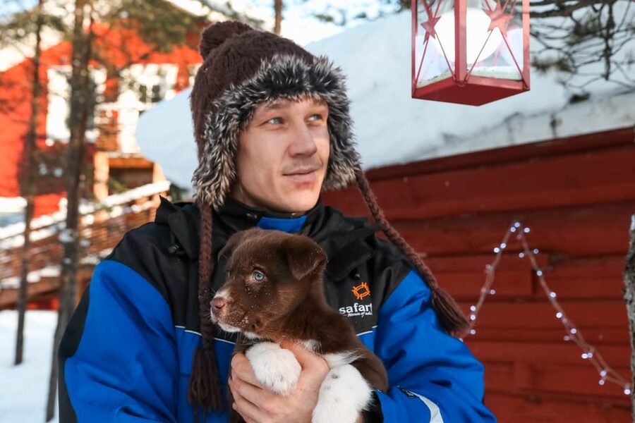 Rovaniemi: Daytime Husky Safari - Kennel Time: Meet the Dogs and Hear Their Stories