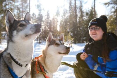 Daytime Husky Safari