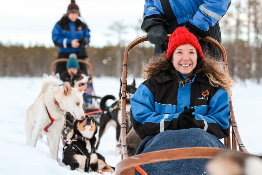 Rovaniemi: Daytime Husky Safari - The Sled Ride Itself: 5 km, Real Control, Real Motion