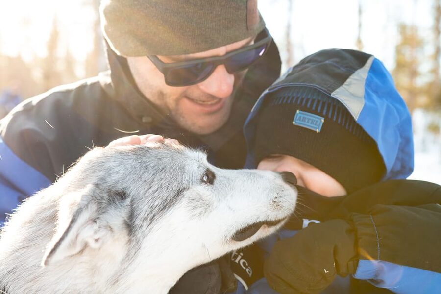 Rovaniemi: Daytime Husky Safari - Transfers and Timing: The Part People Get Tripped Up On