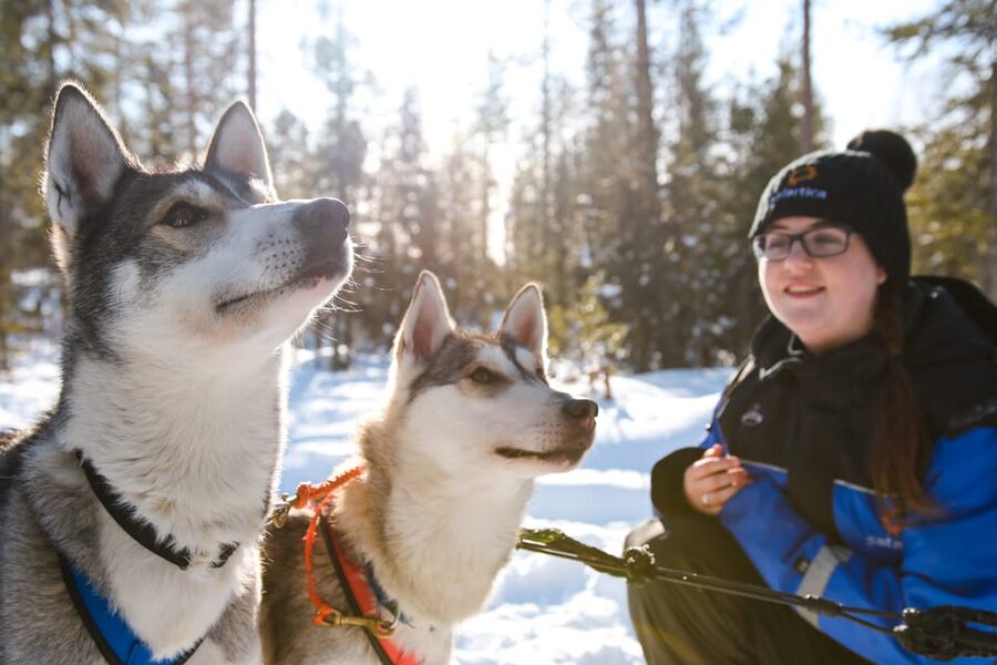 Rovaniemi: Daytime Husky Safari - Gear Up and Learn Steering Basics Before You Move