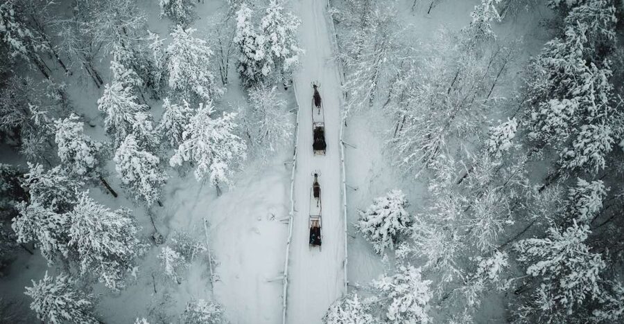 Rovaniemi: Daytime Reindeer Sleigh Ride - From the office to the reindeer farm, what you actually do first