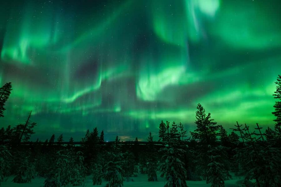 Rovaniemi: Discover the Northern Lights Photography Tour - Photography help that actually changes your results