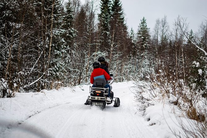 Rovaniemi: Drive New 2025 Snowmobiles on Arctic Safari & BBQ - Key Points to Know Before You Go