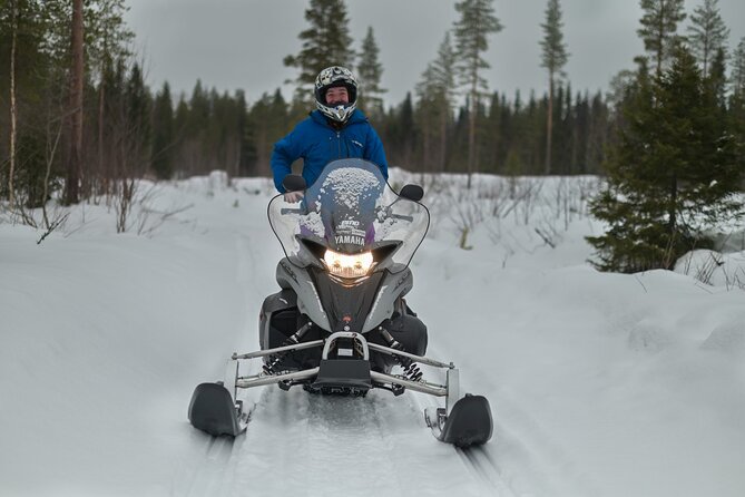 Rovaniemi: Drive New 2025 Snowmobiles on Arctic Safari & BBQ - Entering the Arctic: What Makes This Snowmobile Safari Different
