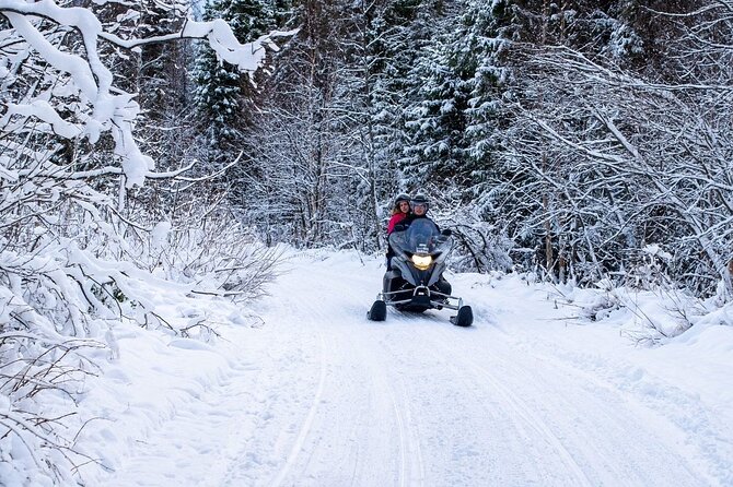Rovaniemi: Drive New 2025 Snowmobiles on Arctic Safari & BBQ - The Driving Adventure: What You’ll Do During That 1 Hour