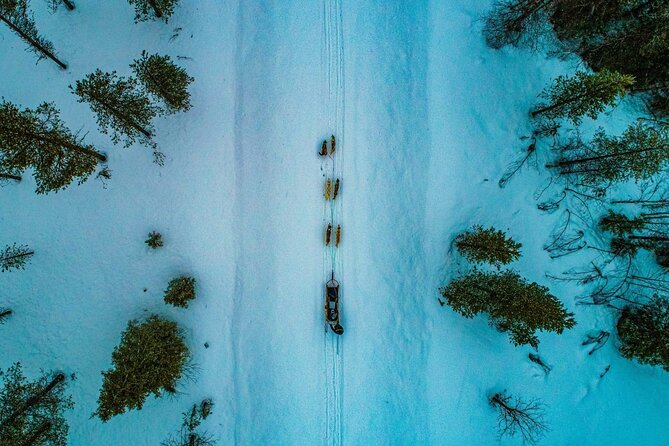 Rovaniemi: Drive Your Own Husky Team (6–10 km) & BBQ - Drive your own husky team, not just a ride
