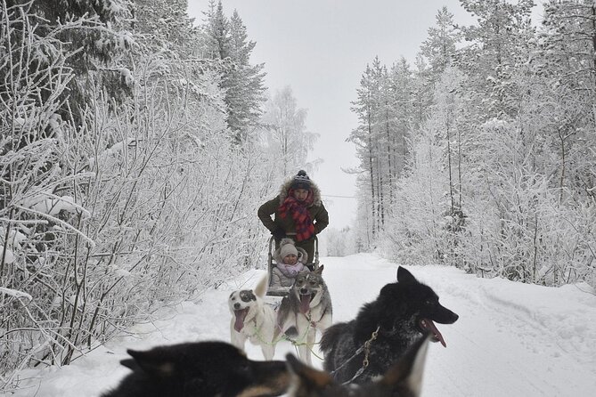 Rovaniemi: Drive Your Own Husky Team (6–10 km) & BBQ - After the trail: Lapland BBQ in a Kota style fire tent