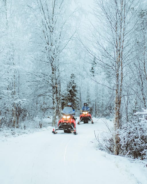 Rovaniemi: Early Winter 2 Hour Snowmobile Safari - The heart of the experience: Apukka Resort trails in early winter