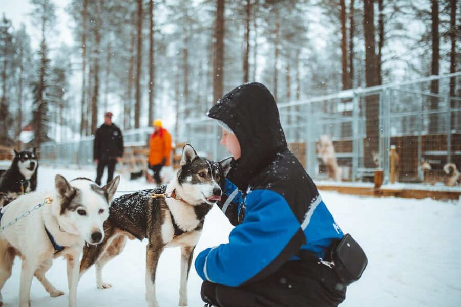 Rovaniemi: Early Winter Husky Sled Ride - Early Winter Husky Trails Around Rovaniemi: Snow That’s Ready, Not Promised