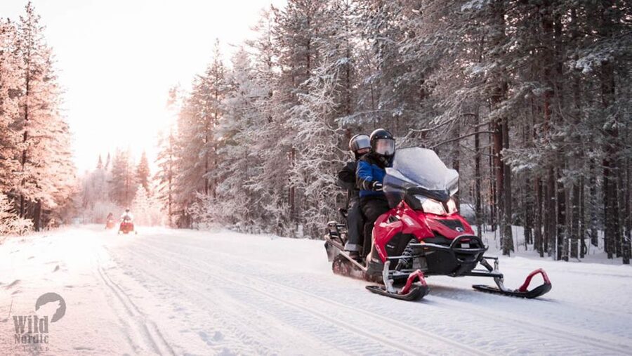 Rovaniemi: Easy Snowmobile Safari - The ride itself: forest views, steady speed, and photo stops that don’t rush you