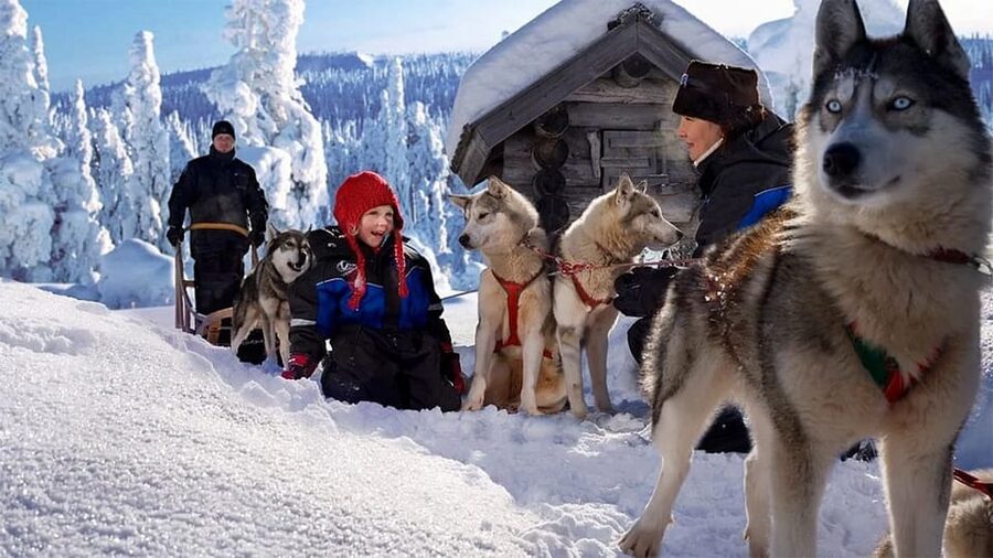 Rovaniemi: Family Friendly Husky Ride and Farm Visit - Key Points to Know Before You Go