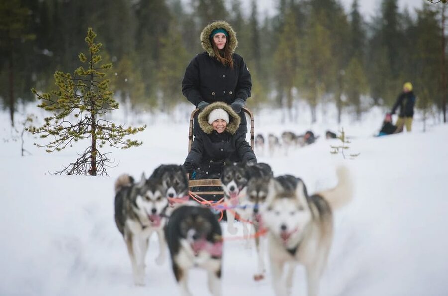 Rovaniemi: Family Friendly Husky Ride and Farm Visit - Price Per Person: Is $128 Fair for This 1.5 Hours?