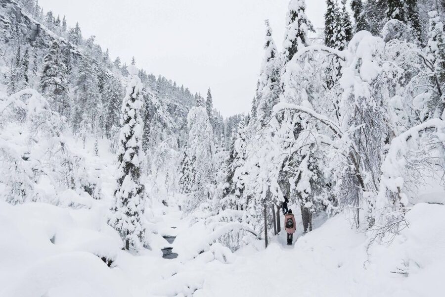 Rovaniemi: Frozen Waterfalls of Korouoma Canyon & Pro Photos - The Core Experience: A Guided 5 km Hike Through Ice Falls and Frozen Gorges