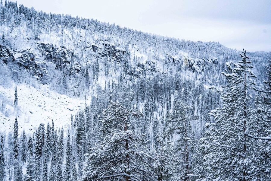 Rovaniemi: Frozen Waterfalls of Korouoma Canyon & Pro Photos - Open-Fire BBQ Lunch in a Lean-To: Simple, Warm, and Worth It