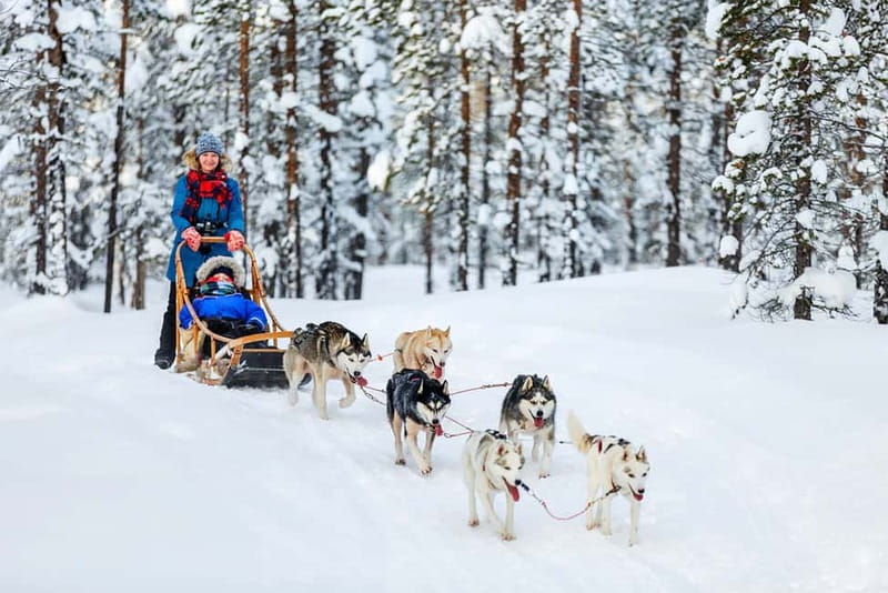 Rovaniemi: Full-Day Highlights Tour with Buffet Lunch - Santa Claus Village, meeting Santa plus the post office stamp