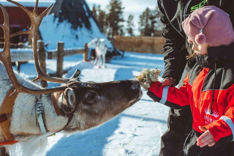 Rovaniemi: Full-Day Snow and Fun Activities - Why Apukka Resort’s Rovaniemi Snow Day Works for Families