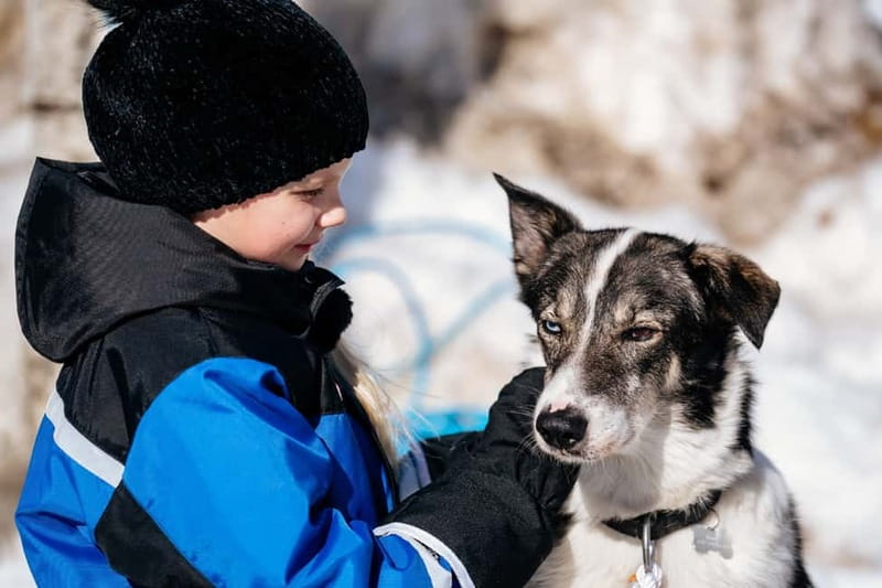 Rovaniemi: Full-Day Snow and Fun Activities - Pickup and Timing: Two Rovaniemi Stops, One Early Start
