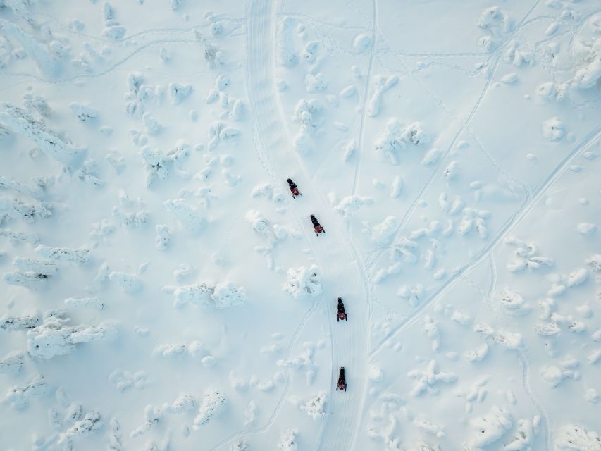 Rovaniemi: Full-Day Snowmobile Safari into the Wilderness - Key things to know before you go
