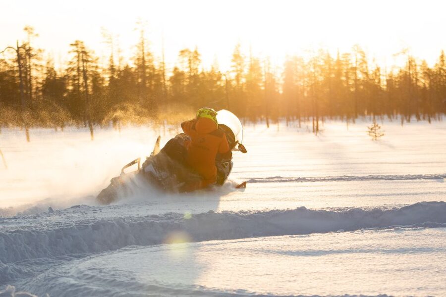 Rovaniemi: Full-Day Snowmobile Safari into the Wilderness - Price of $293: What You Get for the Money