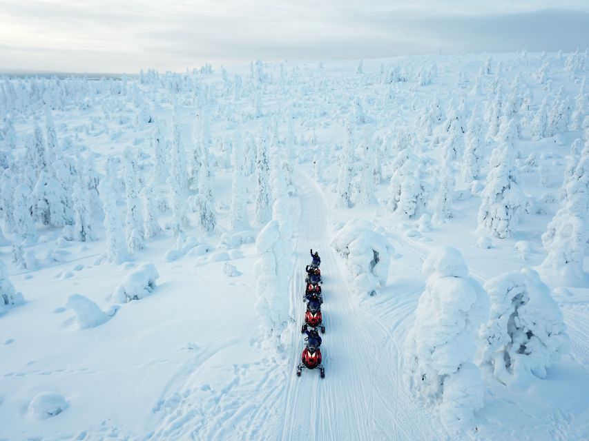 Rovaniemi: Full-Day Snowmobile Safari into the Wilderness - 6 Hours on the Clock: How the Day Typically Moves