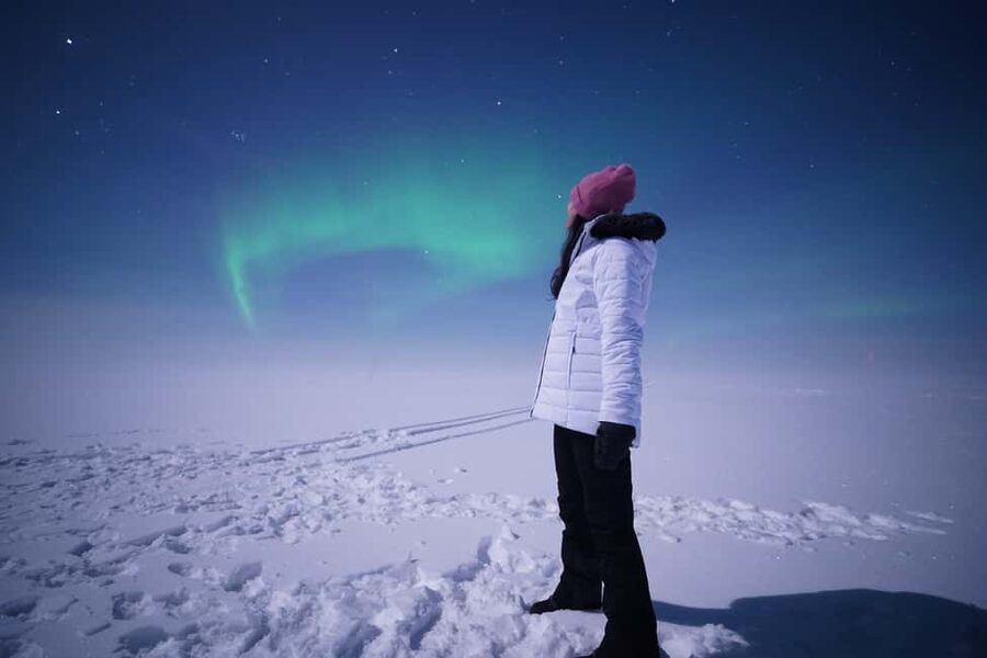 Rovaniemi: Guaranteed Northern Lights Tour with Photos - Guide style in the field: what to look for once you meet them