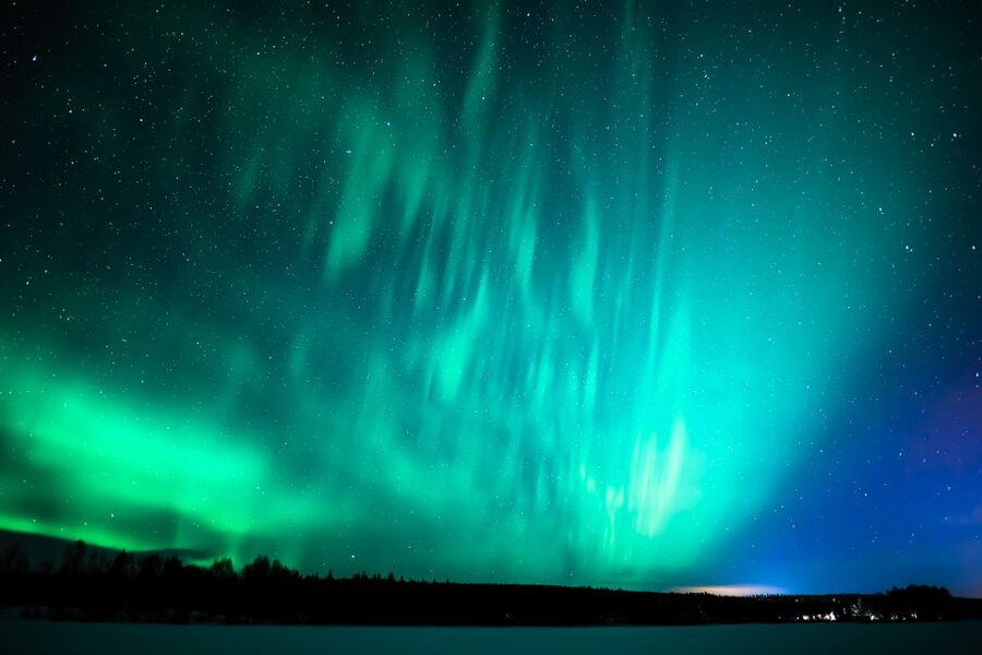 Rovaniemi: Guaranteed Ultimate Aurora Hunt with Photographer - Price and Value at About $127 Per Person
