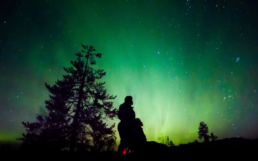 Rovaniemi: Guided Northern Lights Tour - Key Things I’d Watch for on This Tour