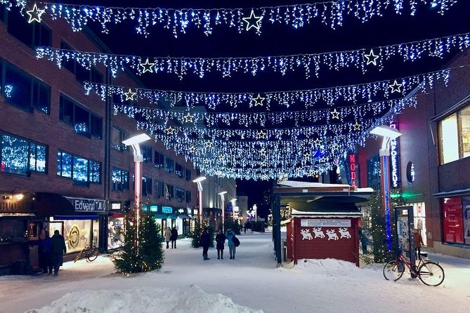 Rovaniemi Guided Tour and Santa Claus Village - Price and value: when this tour makes sense