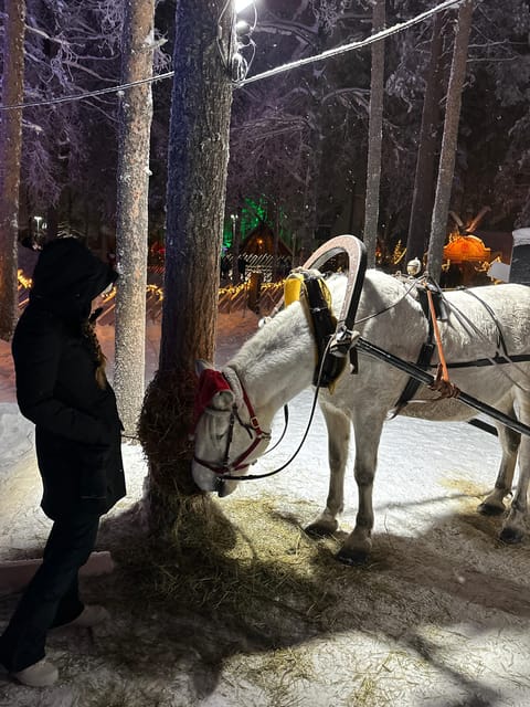 Rovaniemi: Guided Tour of Santa Claus Village - Meeting point at Arctic Circle Information (how to start smoothly)