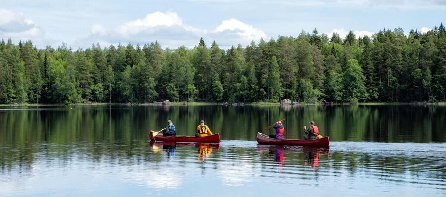 Rovaniemi: Guided Wilderness Kayaking Adventure - Key things you should know before you go