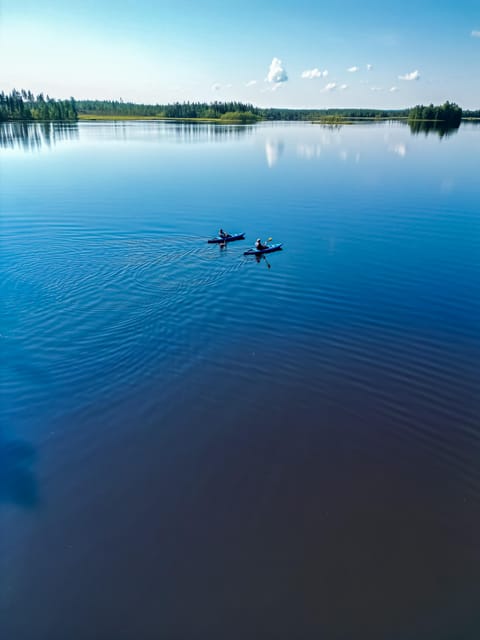 Rovaniemi: Guided Wilderness Kayaking Adventure - Wildlife spotting and why your guide matters most at the start