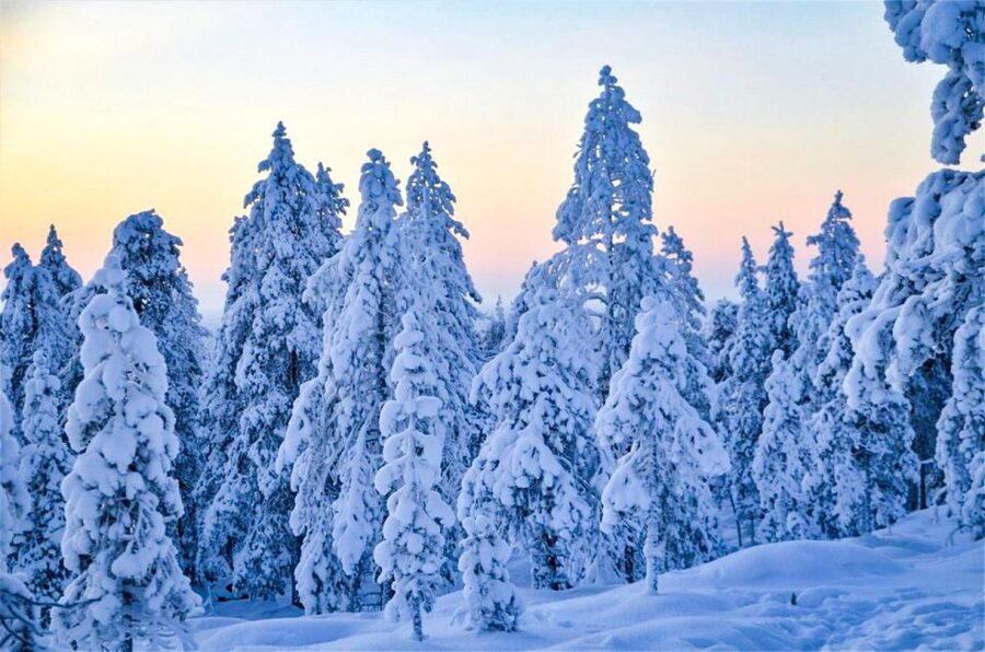 Rovaniemi: Guided Wilderness Snowmobile Ride - Gear Up Like You Mean It: Thermal Overalls, Helmet, Boots, Balaclava