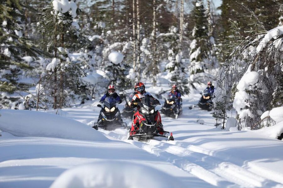 Rovaniemi: Guided Wilderness Snowmobile Ride - The Ride Itself: Cruising Arctic Trails and Passing Through a Frozen Forest