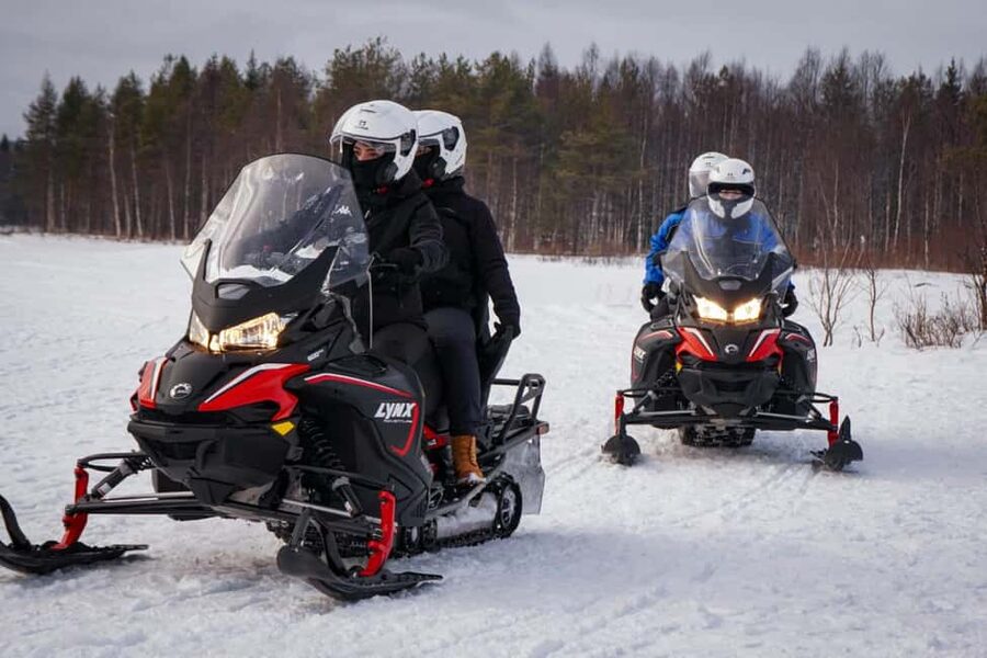 Rovaniemi: Guided Wilderness Snowmobile Safari & Barbeque - Price and Value: What You’re Really Paying For at $124