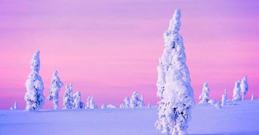 Rovaniemi: Half-Day Snowmobile & Ice Fishing Experience - Ice Fishing on a Frozen Lake: Drill, Wait, and Embrace the Stillness