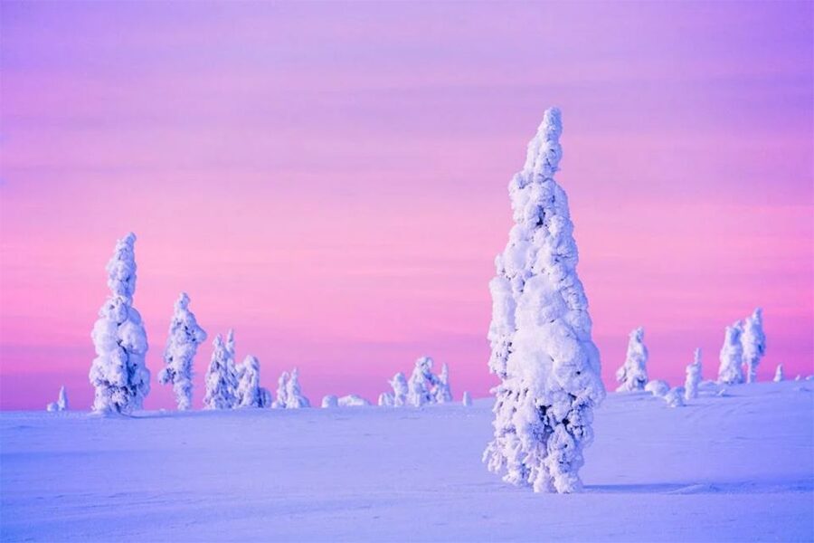 Rovaniemi: Half-Day Snowmobile & Ice Fishing Experience - The Lappish BBQ Finish: Salmon, Bread, and Hot Blueberry Juice