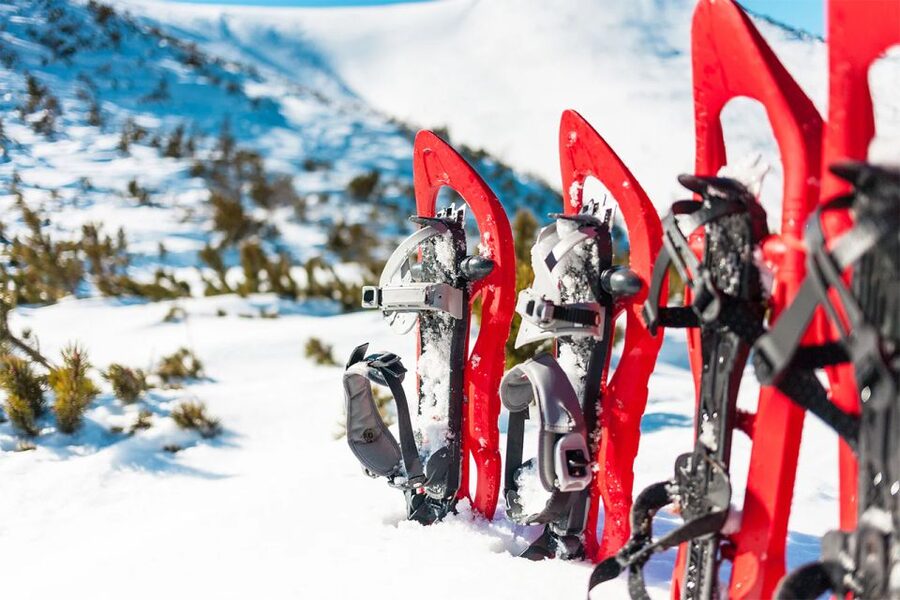 Rovaniemi: Hiking and Snowshoeing Adventure in Lapland - Key Things You Will Love on This Rovaniemi Snowshoe Adventure
