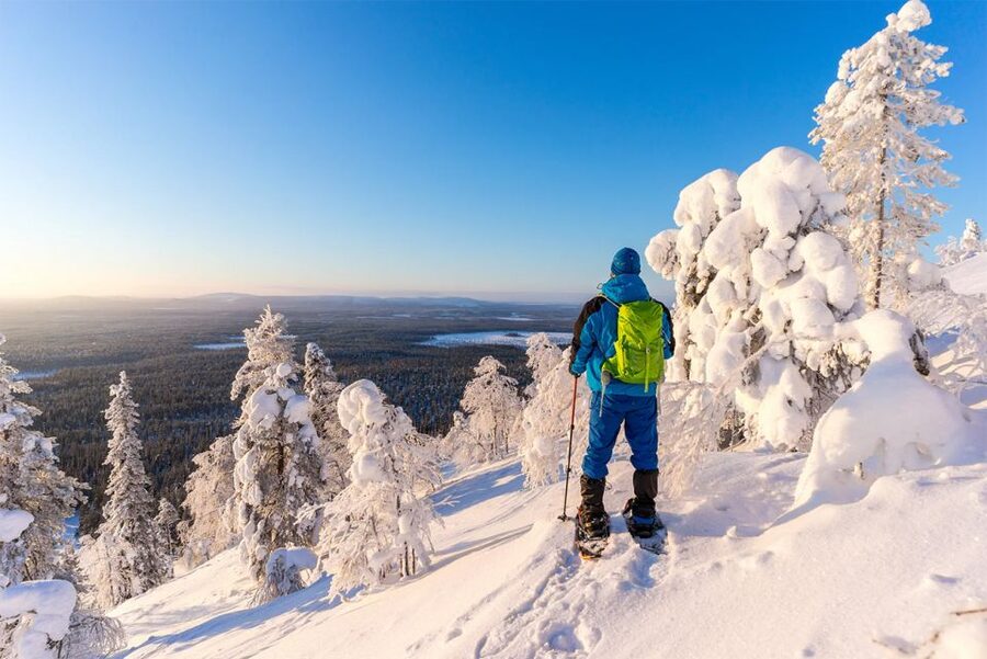 Rovaniemi: Hiking and Snowshoeing Adventure in Lapland - The Arctic Circle View You Walk Toward, Not Just Look At
