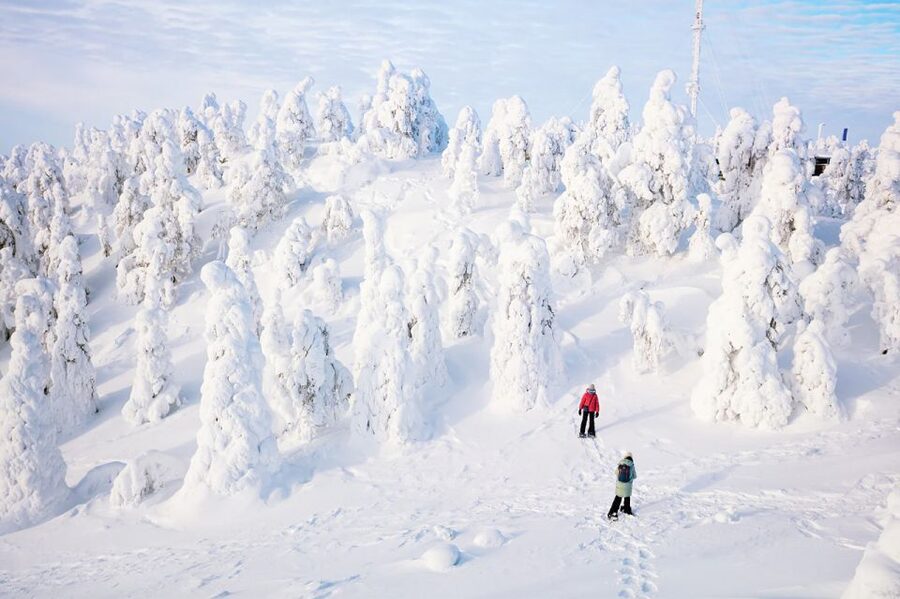 Rovaniemi: Hiking and Snowshoeing Adventure in Lapland - Gear You Get for Free, and Why That Matters in Lapland