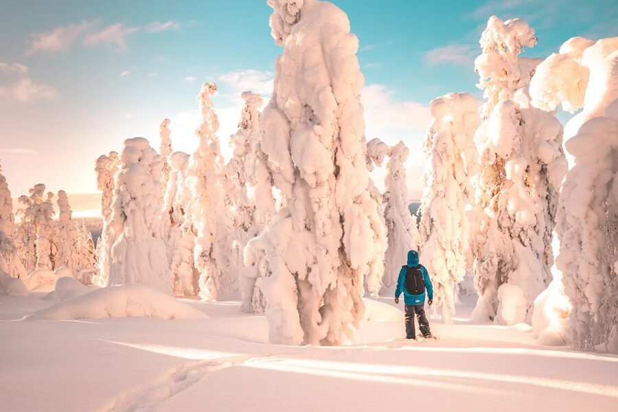 Rovaniemi: Hiking and Snowshoeing Adventure in Lapland - Fitness and Pace: Moderate Effort, Uphill Work, and Lots of Photo Time