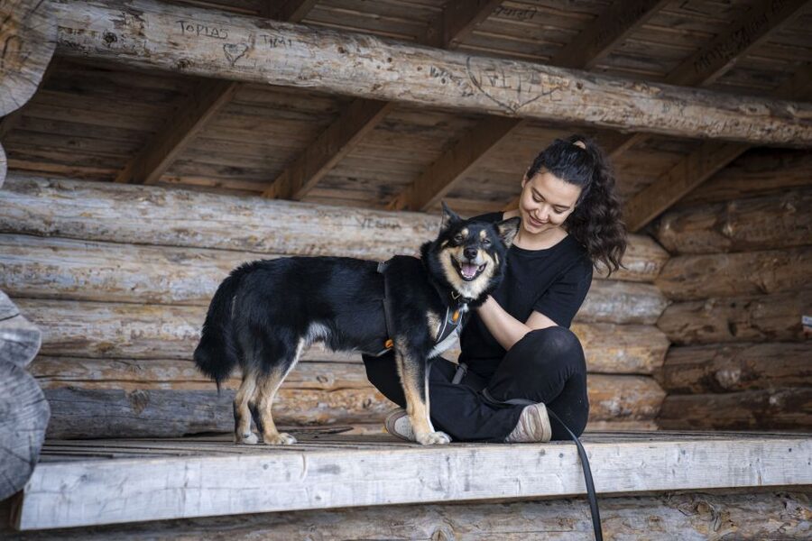 Rovaniemi: Hiking Experience with Lappish Dogs - Key things to know before you go