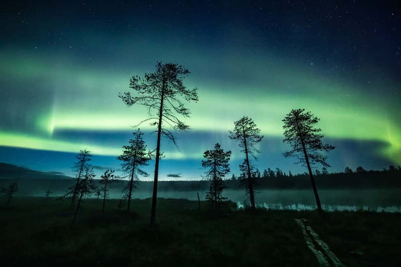 Rovaniemi: Horse Sleigh Ride under the Night Sky - Key things I’d circle before you go