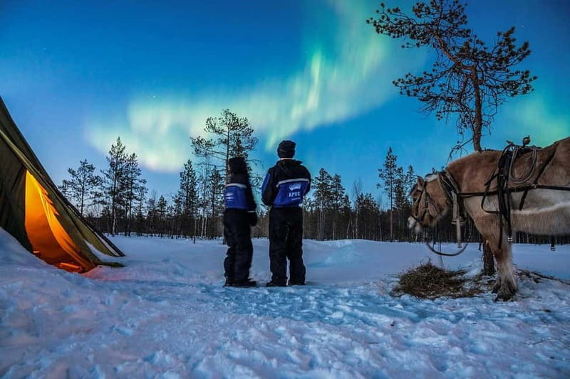 Rovaniemi: Horse Sleigh Ride under the Night Sky - The sleigh ride itself: 3 km of quiet winter magic