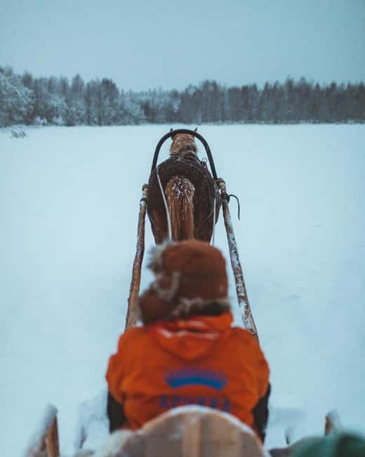 Rovaniemi: Horse Sleigh Ride under the Night Sky - What the guide actually brings to the night (beyond aurora hunting)