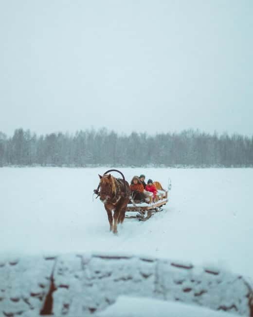 Rovaniemi: Horse Sleigh Ride under the Night Sky - Northern Lights expectations: plan for the sky, not a guarantee